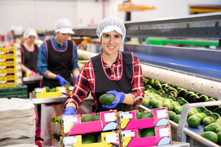 Women hardworking in agricultural facility, sorting avocado at conveyor