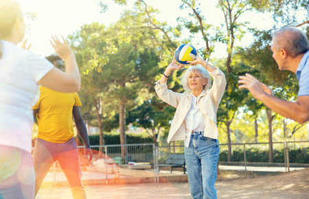 Two mature couples playing volleyball in summer parkの写真素材