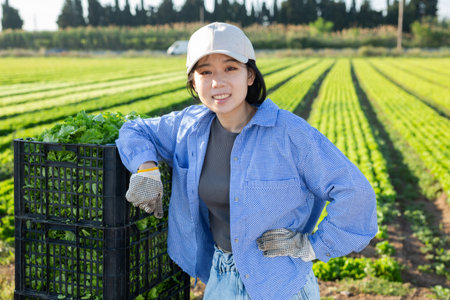 Smiling young asian female farmer standing near boxes with green lettuce on fieldの写真素材