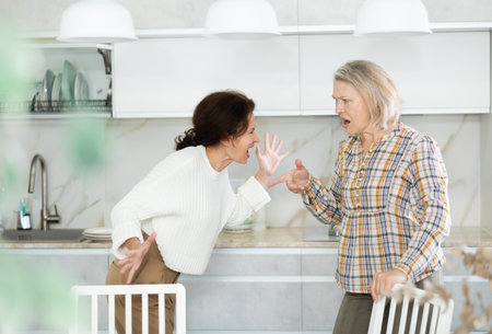 Relatives quarrel in the kitchen - adult daughter quarrels with an elderly motherの写真素材