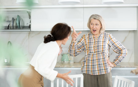 Relatives quarrel in the kitchen - adult daughter quarrels with an elderly motherの写真素材