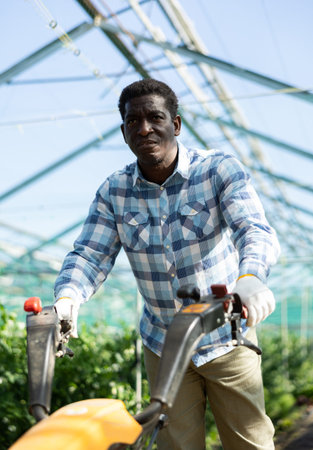 Horticulturist using walking tractor in hothouse