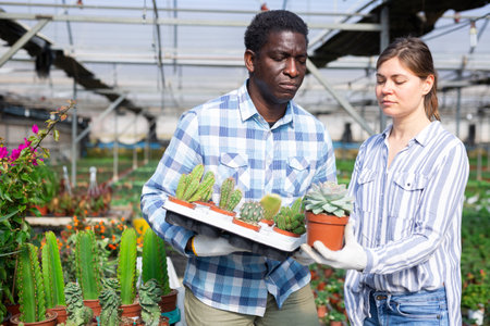 Man and woman holding box with cactus in greenhouseの写真素材