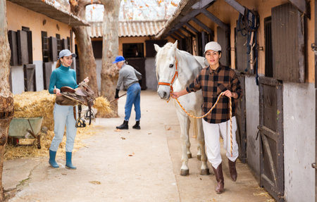 Asian woman horse breeder leading white racehorse along stables outdoorsの写真素材