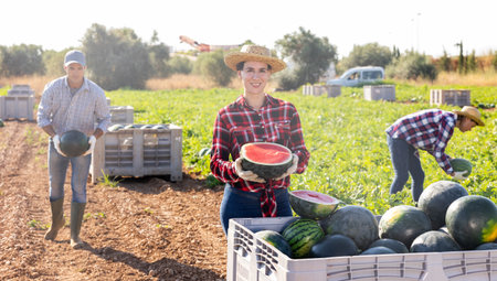 Farmer posing in field with watermelons cropの写真素材