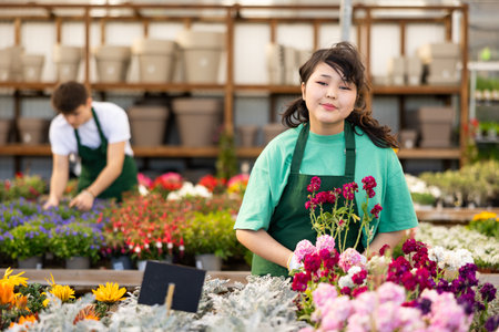 female worker in flower shop gets acquainted with assortment and carefully viewes Levkoyの写真素材