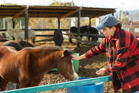 Caring young female stable keeper checking and stretching hand to horses near paddock at ranch outsideの写真素材
