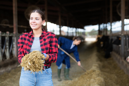 Young girl livestock farm worker holding handful of haylageの写真素材