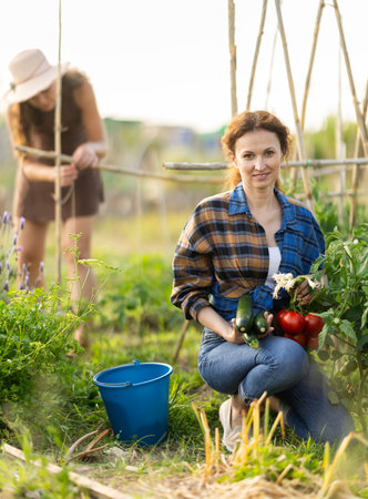 Adult woman with vegetable harvest in cottage gardenの写真素材