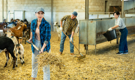 Female worker of livestock farm cleaning goat stallの写真素材