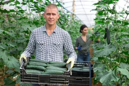 Man with boxの写真素材