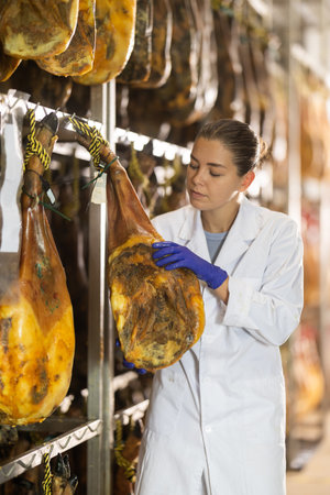 female worker checks the quality of jamon in a factoryの写真素材
