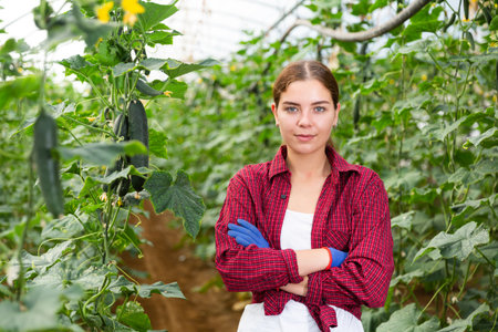 Girl standing inside large hothouseの写真素材