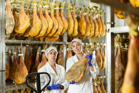 Two workers test the qualities of jamon in a factoryの写真素材