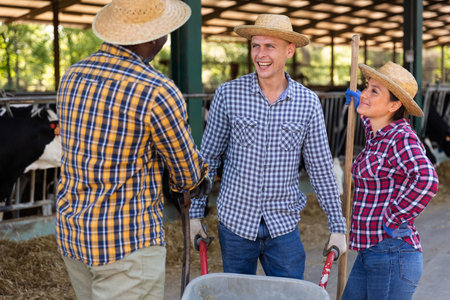 Cheerful farm workers talking friendly near outdoor cowshedの写真素材
