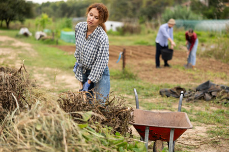 Woman takes out bunch of branches, puts garbage in wheelbarrowの写真素材