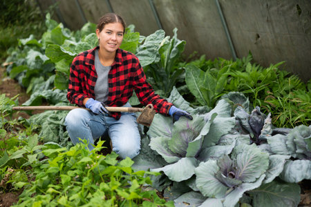 Portrait of a girl with a hoe in her hands inside a greenhouse with harvest of vegetables and cabbageの写真素材