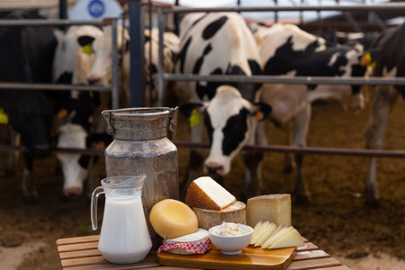 Image of dairy products on the farm