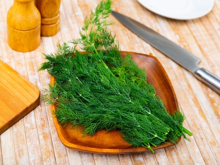 Closeup of fresh dillの写真素材