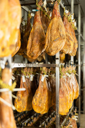 Ham meat processing plant