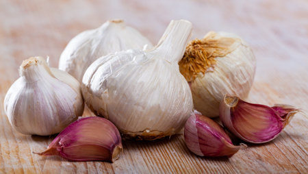 Raw bulbs and cloves of garlicの写真素材