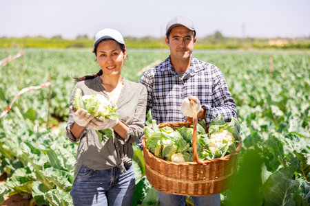 Portrait of positive man and woman plantation workers with cauliflowersの写真素材