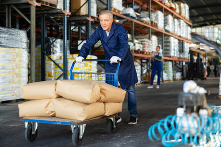 In warehouse rack area of store, loader mature man pushes and carries large cart for bulky cargo