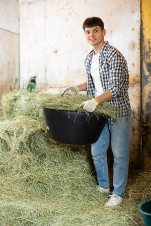 Male worker in barn fills basket with hay, prepares to feed animals on farm.の写真素材