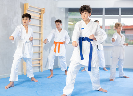 Children wearing karate uniform white kimono posing fighters poses, group training on martial arts classの写真素材