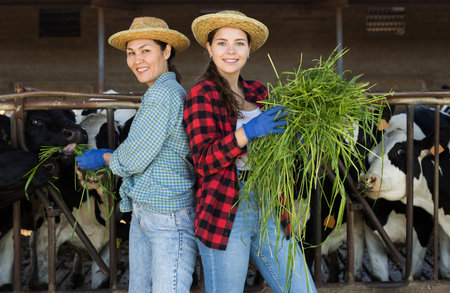 Portrait of two positive female farmers in a cowshed, holding freshly mown grassの写真素材
