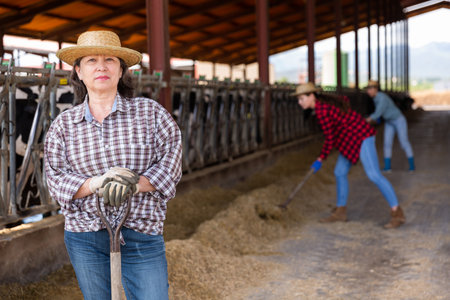 Portrait of a elderly farmer woman standing in a cowshedの写真素材