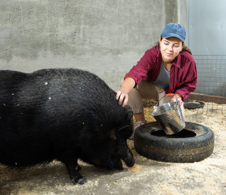 Female farmer feeding black pig in paddock at livestock farmの写真素材