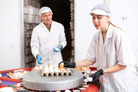 Positive young woman and man farmers in white coat sorting by size and marking fresh chicken eggs on conveyor belt from pen with chickens on farmの写真素材