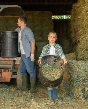 Boy helps his parents on horse farm - he carries basket of hay for horsesの写真素材