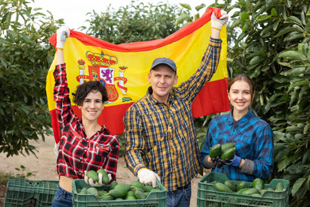 Excited man and two women farmers holding flag of Spain after picking avocados on farmの写真素材