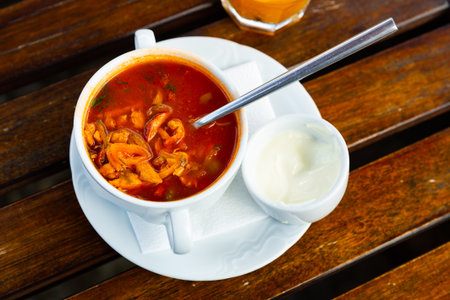 Russian meat soup Solyanka with assorted meatの写真素材