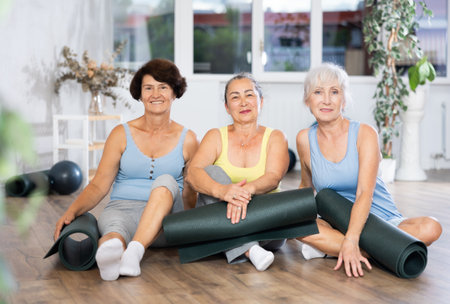 Group of elderly women posing with pilates equipmentの写真素材