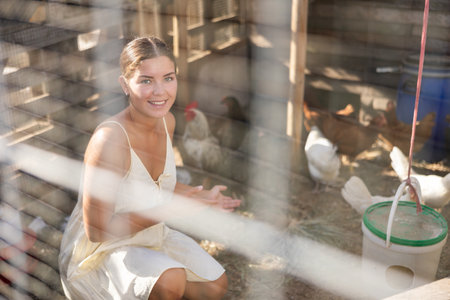 Young woman works in chicken coop, feeds birdsの写真素材