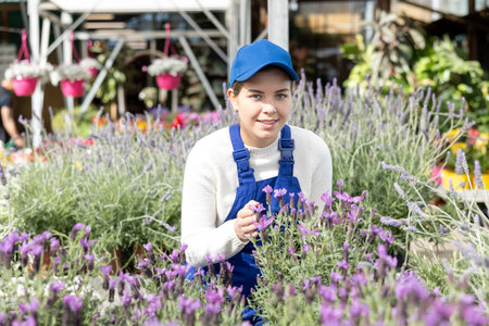 Female worker arranging flowering lavender in pots while gardeningの写真素材