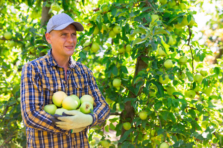 Smiling gardener holding pile of ripe apples in orchard