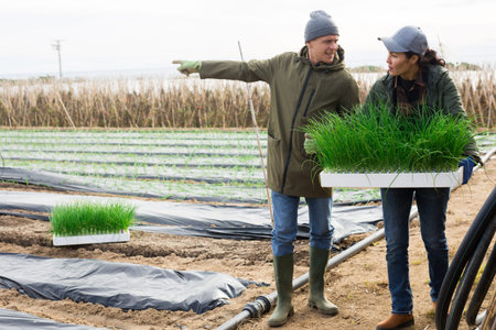 Farmers with scallion on vegetable field