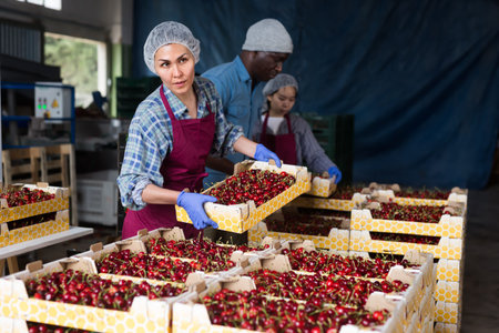 Woman in uniform sorts cherry at warehouseの写真素材