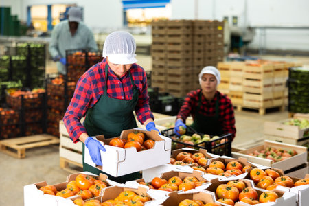 Female employee of vegetable sorting factory stack crates of tomatoesの写真素材