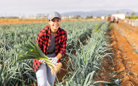 Portrait of positive girl farmer with crate of fresh leekの写真素材