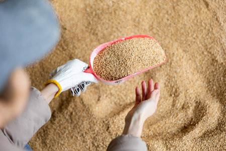 Scoop with soy husk in hands of female farmerの写真素材