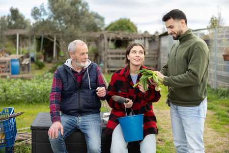Three farmers discuss green onion harvest on their farm