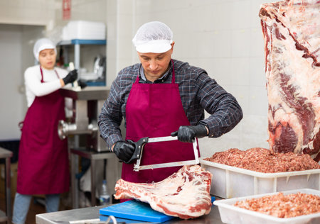 Smiling male butcher sawing large chunk of beef meat in butcher shopの写真素材