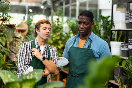Two male florists are discussing what flowers to take care ofの写真素材