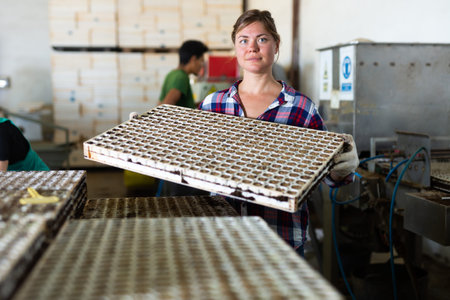 Worker stacking trays with seedlings in piles