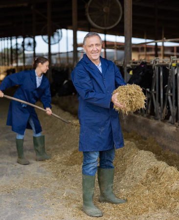 Livestock farm owner standing in cowshed with handful of haylage